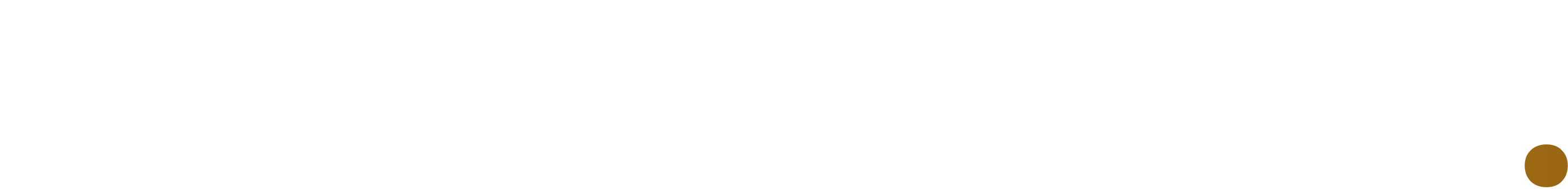 Momentum