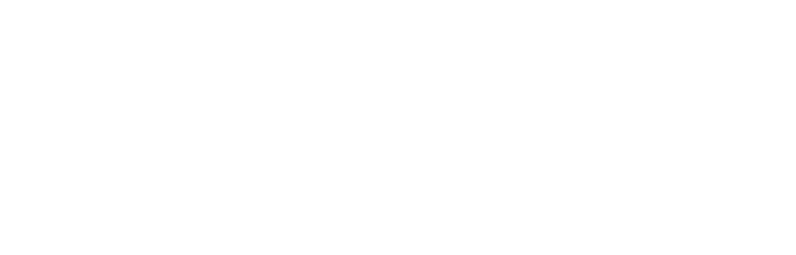 Ziba Print
